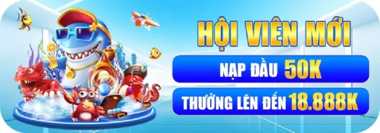 lc88102-nạp rút